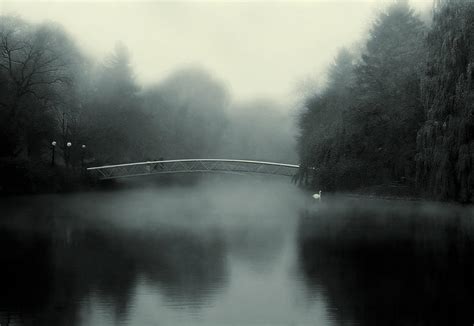 Morning In Fog Photograph By Mariana Maodus Fine Art America