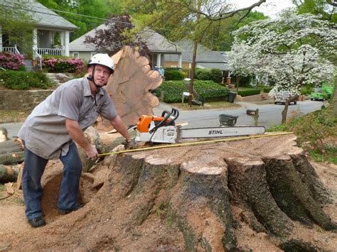 Timberline tree & landscape inc. Stump Grinding Duluth, GA | Timberline Expert Tree Service