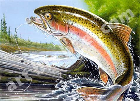 If you find any inappropriate image content on pngio.com, please contact us and we will take appropriate action. Rainbow Trout Jumping Painting at PaintingValley.com ...