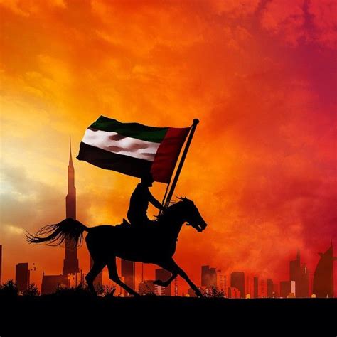 Presidential flag, marine flag, emblem and coat of arms. 11/3/14 UAE FLAG DAY....PHOTO: mish3alyousif | Islamic art ...