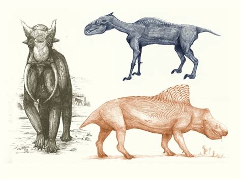 Collection of dinosaurs drawing tutorials, step by step how to draw dinosaurs. Modern Animals Drawn Like Dinosaurs Based Only On Bones