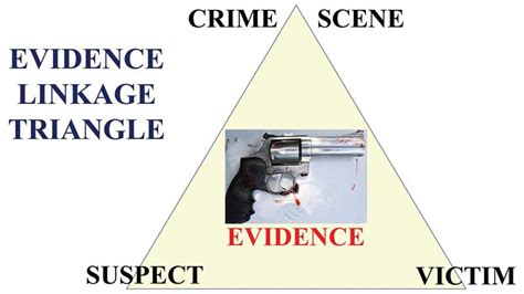 Pdf Processing Vehicles Used In Violent Crimes For Forensic Evidence
