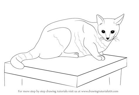 See more ideas about cartoon drawings, drawings, cartoon. Learn How to Draw a Cat (Farm Animals) Step by Step ...