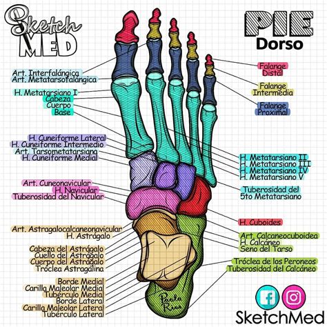 Sketch Med Dra Paola Rios on Instagram Porque ustedes son los mejores Y cada día nos