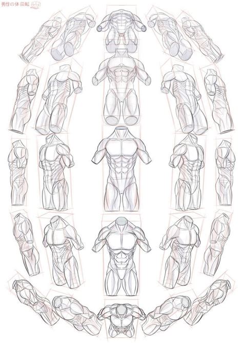 Male Body In Perspective Drawings Perspective Art Art Reference Photos