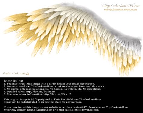 Winged Perfection Silver Gold By Thy Darkest On