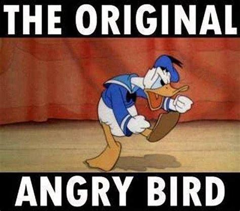Donald Duck The Original Angry Bird Disney Disney Funny Funny