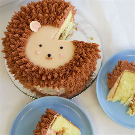 Your hedgehog cake stock images are ready. Hedgehog Cake That's Too Cute To Eat | Hedgehog cake ...