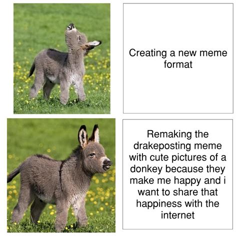 Download Meme Shrek Donkey Png And  Base
