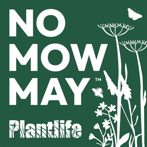 No Mow May How Doing Nothing Can Do Everything