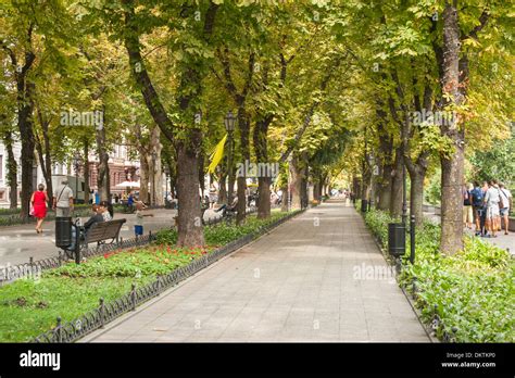 Shaded Path Walkway Hi Res Stock Photography And Images Alamy