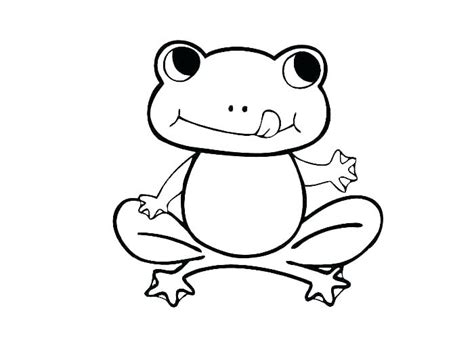 Realistic Frog Drawing Free Download On Clipartmag