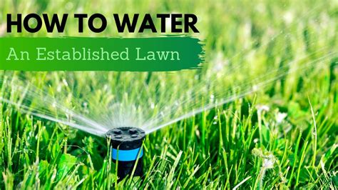 How To Water Your Lawn Simple Lawn Solutions Youtube