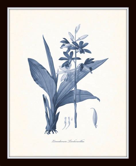 Blue Botanical Print Set No18 Redoute Botanical Prints Art Giclee
