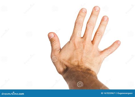 Male Hand Isolated On White Background Close Up Stock Image Image Of