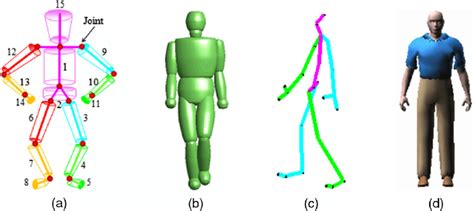 The 3 D Human Models Of Four Kinds Of Human Motion Datasets A