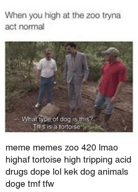 ️ 25 Best Memes About Acid Drug Acid Drug Memes
