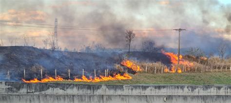 Incêndio atinge mata às margens da Rodovia Anhanguera em Limeira