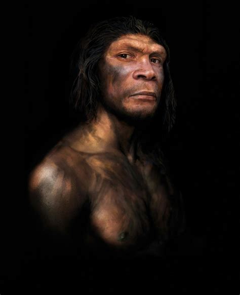 Neanderthals Died Out 40000 Years Ago But There Has Never Been More