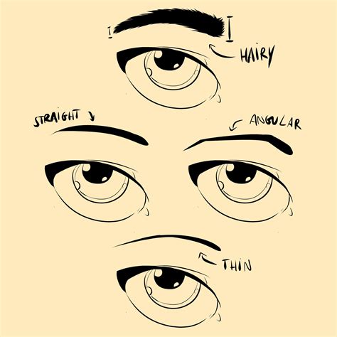Ojos reflejo more a study of drawing an eye lauren b montana. How to Draw Eyebrows - Eyebrow Shapes | Face drawing ...