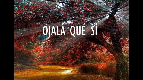 Apr 15, 2020 · sharon ojala hi, it's me! Ojalá que SÍ | Consejos de vida, Frases inspiradoras ...