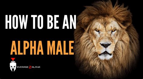 How To Be An Alpha Male Not What You Think Average 2 Alpha