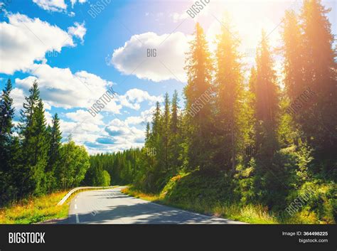 Road Summer Forest Image And Photo Free Trial Bigstock