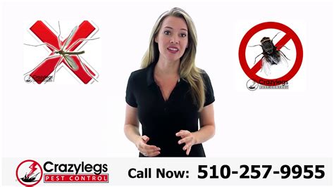 People reviewed them on google and wrote: Pest Control Oakland Prices | Pest Control Cost in Oakland ...