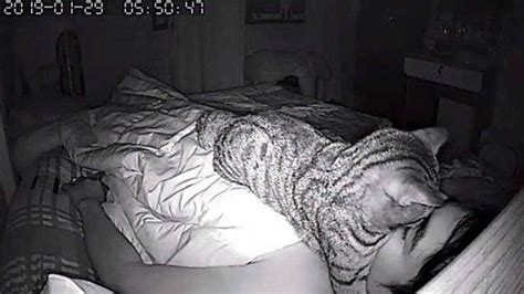 Man Sets Up Camera To See Why He Cant Breathe At Night Result Is Hilarious Trending