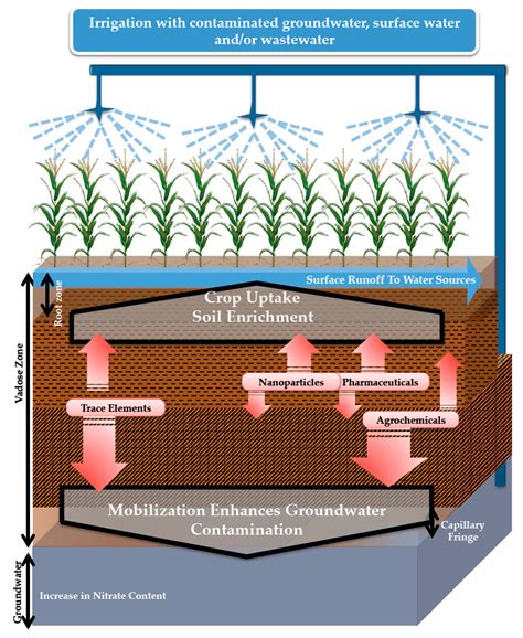 Science Math Management Of Water Quality And Irrigation Technologies
