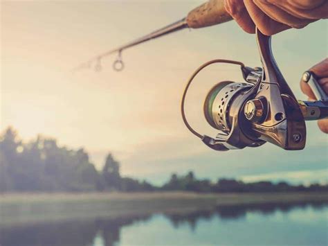 Tipos De Pesca E Tudo Que Você Precisa Saber Para Pescar Com Sua Lancha
