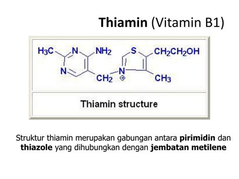 Ppt Vitamin Dan Mineral Powerpoint Presentation Free Download Id