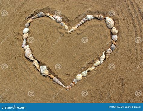 Heart Made Of Sea Shells Lying In The Sand Stock Image Image Of