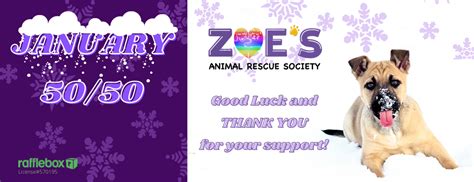 Zoes Animal Rescue Adopt A Dog Or Cat In Edmonton Alberta