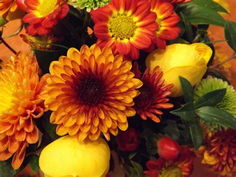 Once you have been drawing for a while you will be able to recognize what you are there are some beautiful reference pictures and photos of all types of flowers. Floral Department - A Lot of Flowers