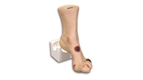 Limbs And Things Seymour Ii Wound Care Model