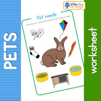 Use the free application for federal student aid (fafsa ® ) form to apply for financial aid for college or graduate school. Pet animal needs worksheet by Little Blue Orange | TpT