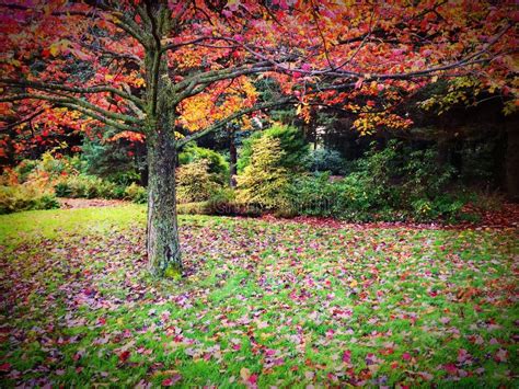 Beautiful Autumn Landscape Full Of Colors Stock Photo Image Of Forest