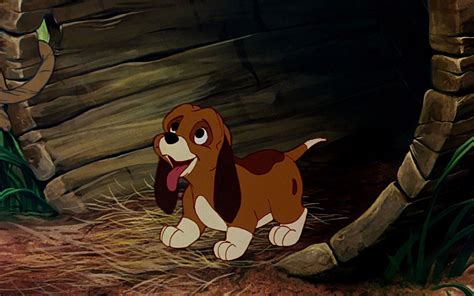 Pictures Of The Fox And The Hound Coolwallpapersme