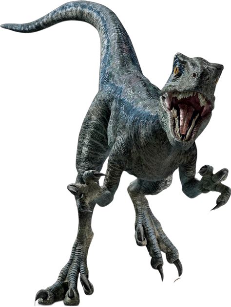 Velociraptor Blue Render By Jurassicworldcards On Deviantart
