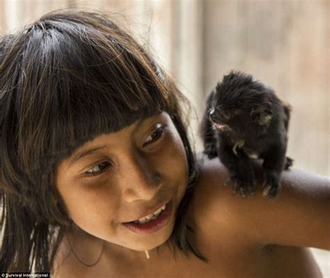 extraordinary photos of the awa amazon tribe daily mail online