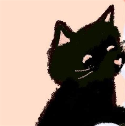 Matching Pfp Matching Icons White And Black Cat Funny Cat Wallpaper