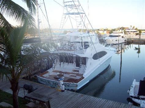 Turtle Cove Marina Providenciales Picture Of Turks And Caicos
