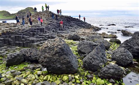 Visit The Giants Causeway With Paddywagon Tours Diy Travel Hq