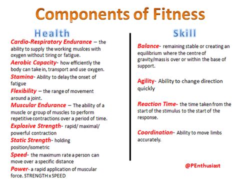 Physical Fitness New What Are The Different Components Of Physical Fitness