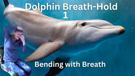Dolphin Breath Hold 1 Breathing Practice For A Stiff Back Youtube