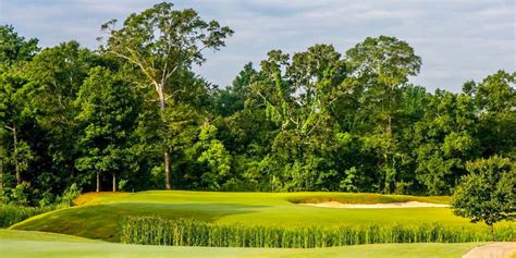 Forest Country Club Forest Mississippi Golf Course Information And