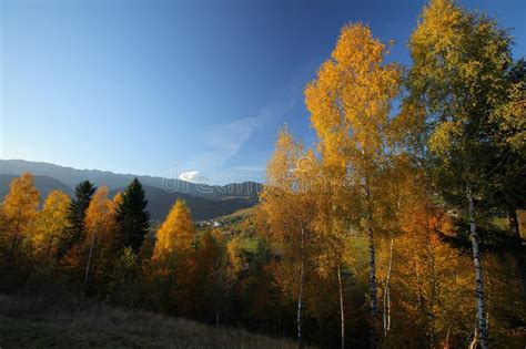 Beautiful Mountain Scenery And Autumn Foliage Stock Image Image Of Forest Autumn 11912447