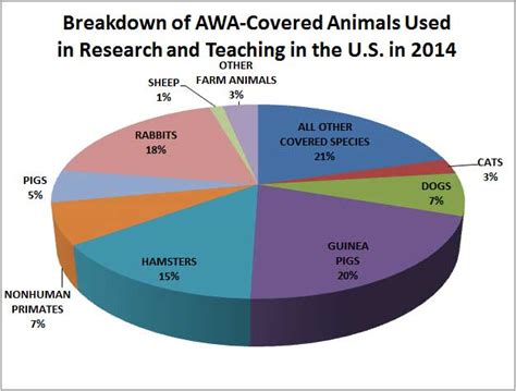 Some Interesting Facts About Animal Testing In America Poc