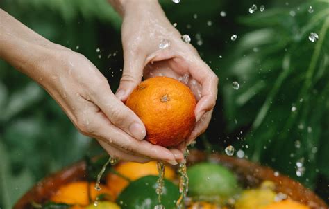 Consejos para lavar la fruta y verdura antes de su consumo Productos ecológicos Ecocesta